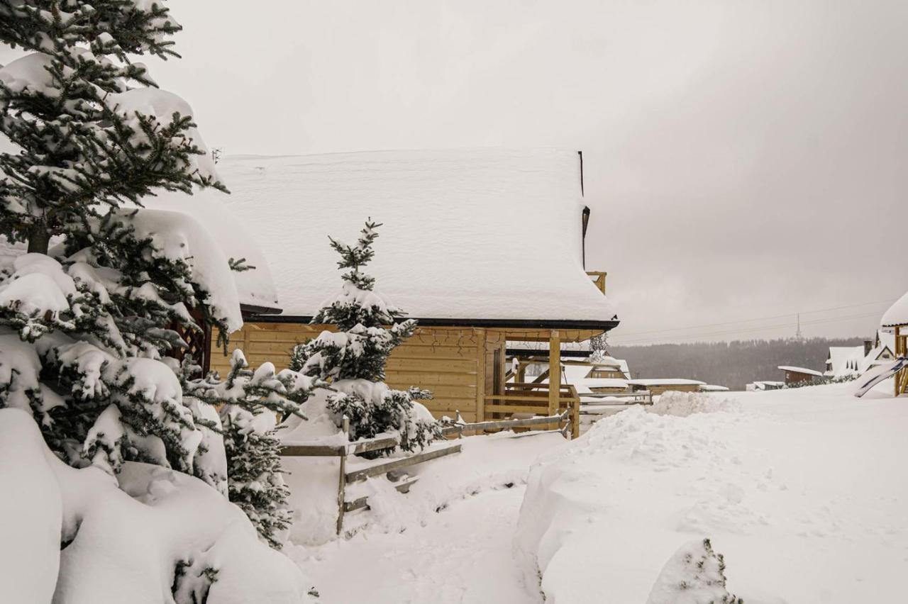 Domek Na Zrabku Pod Gubalowka Zakopane Eksteriør billede